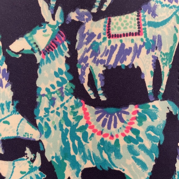 Lily Pulitzer Stretch Shift dress with zipper - Fancy Llama Print - Picture 3 of 3